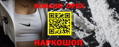 гашик Дубна