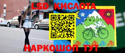 гашик Дубна