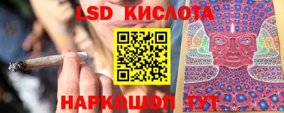 гашик Дубна