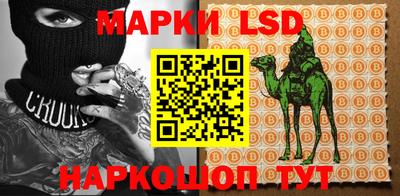 гашик Дубна