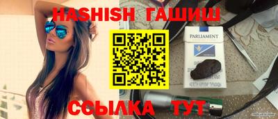 гашик Дубна