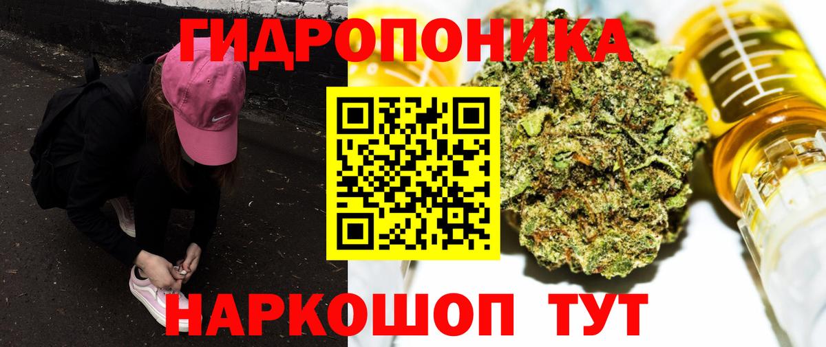 Конопля ГИДРОПОН  Марихуана план  Вход с VPN  Канабис Amnesia  Марихуана конопля  Новозыбков 